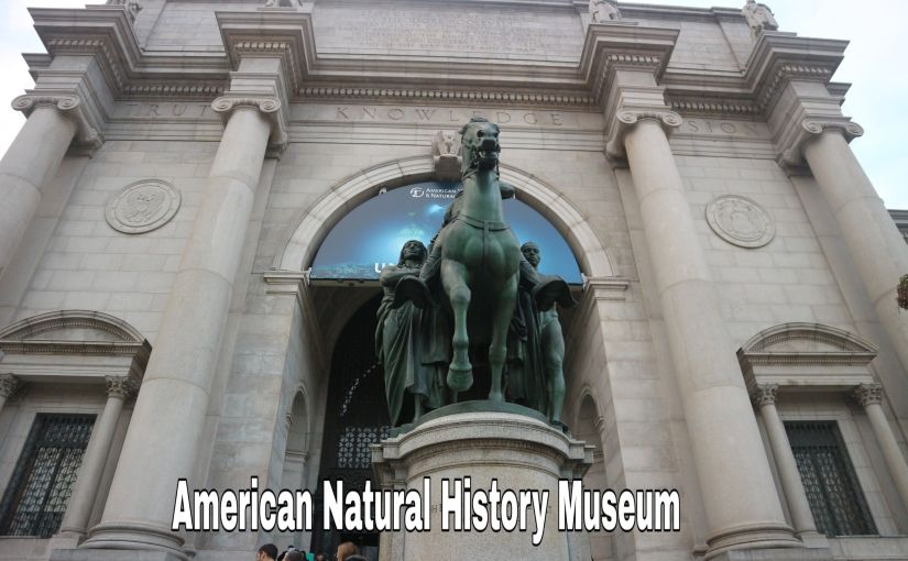 American Natural History Museum : Berkunjung ke Set Film Night at The Museum di New York City